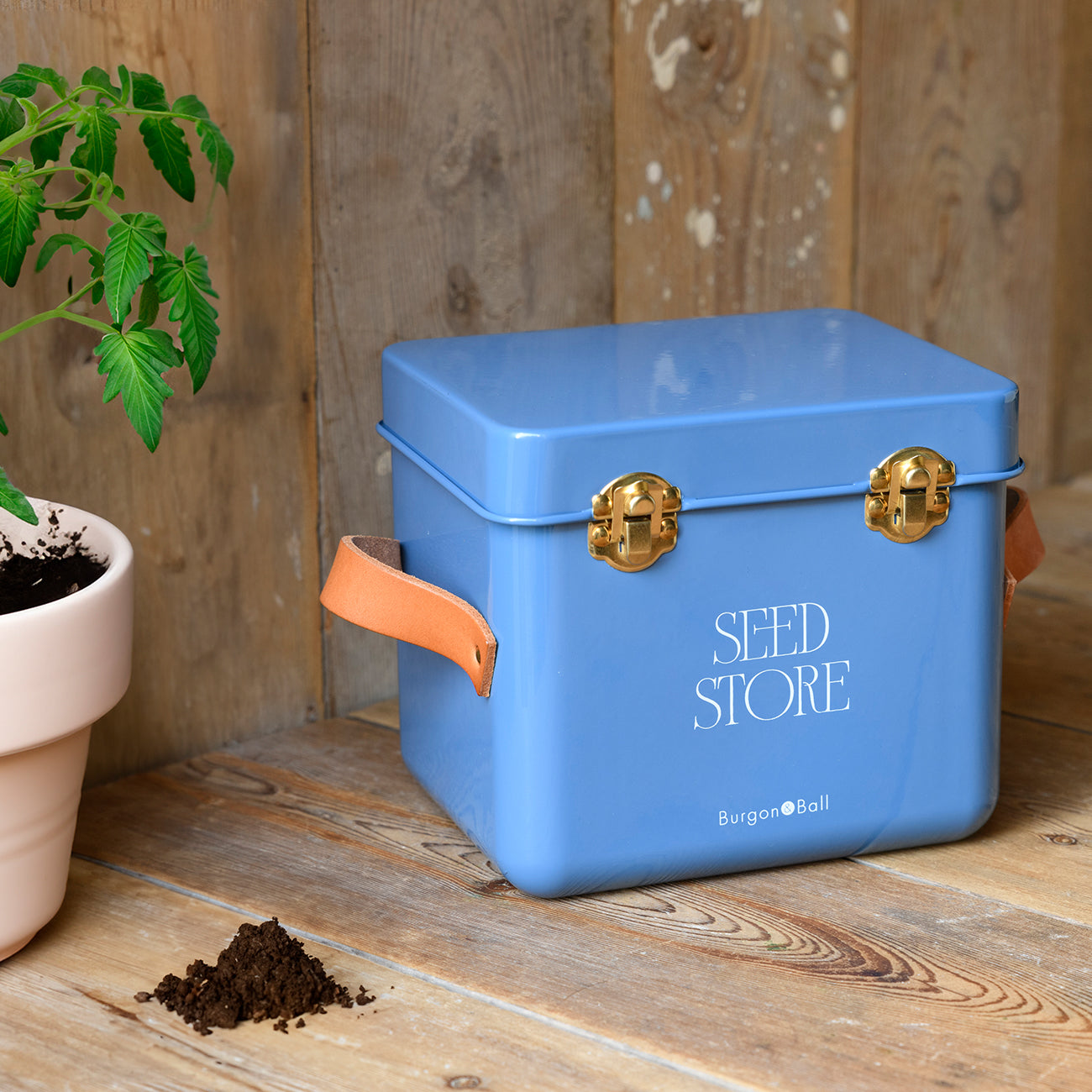 Collector Mini Seed Store - Cotswold Blue