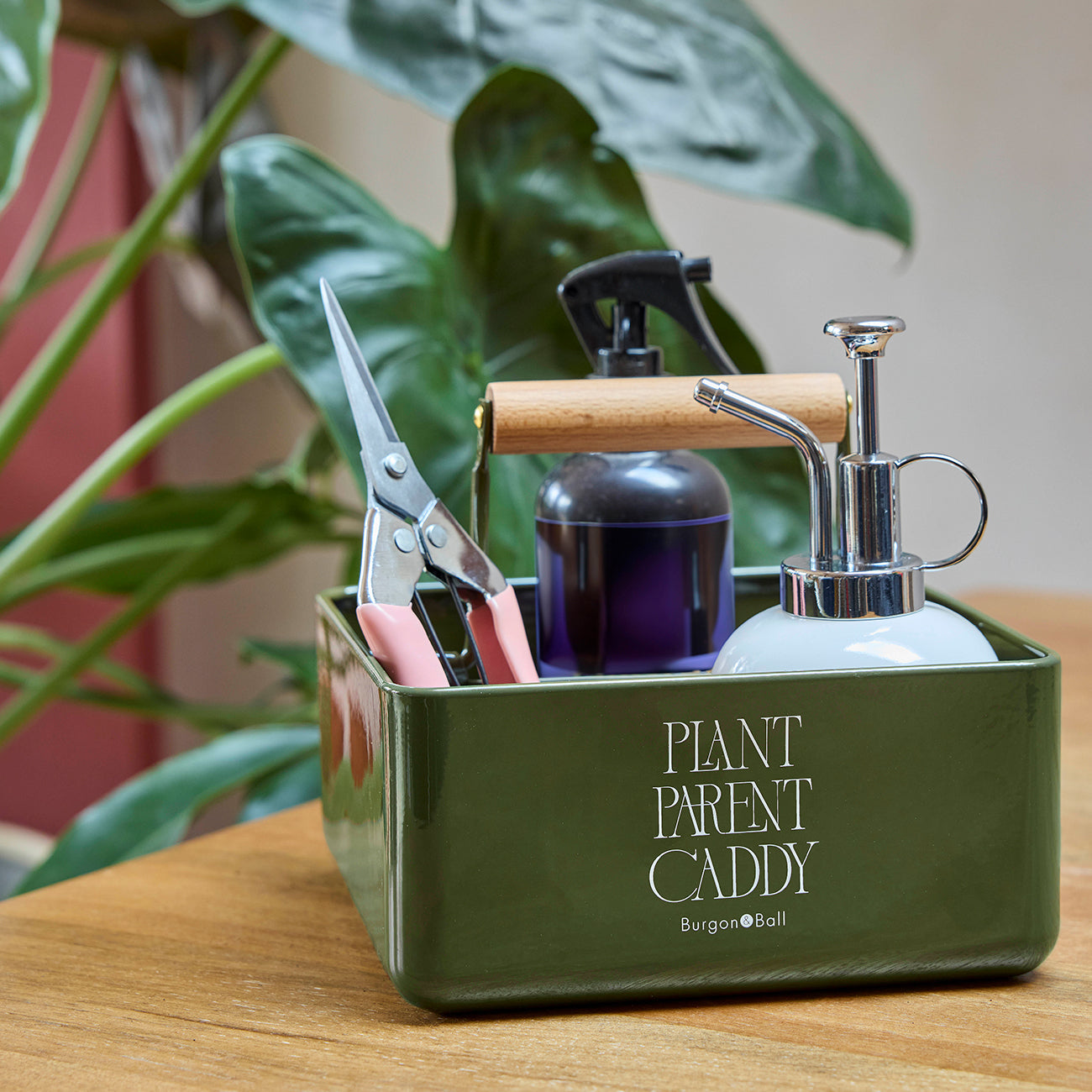 Collector Plant Parent Caddy - Olive